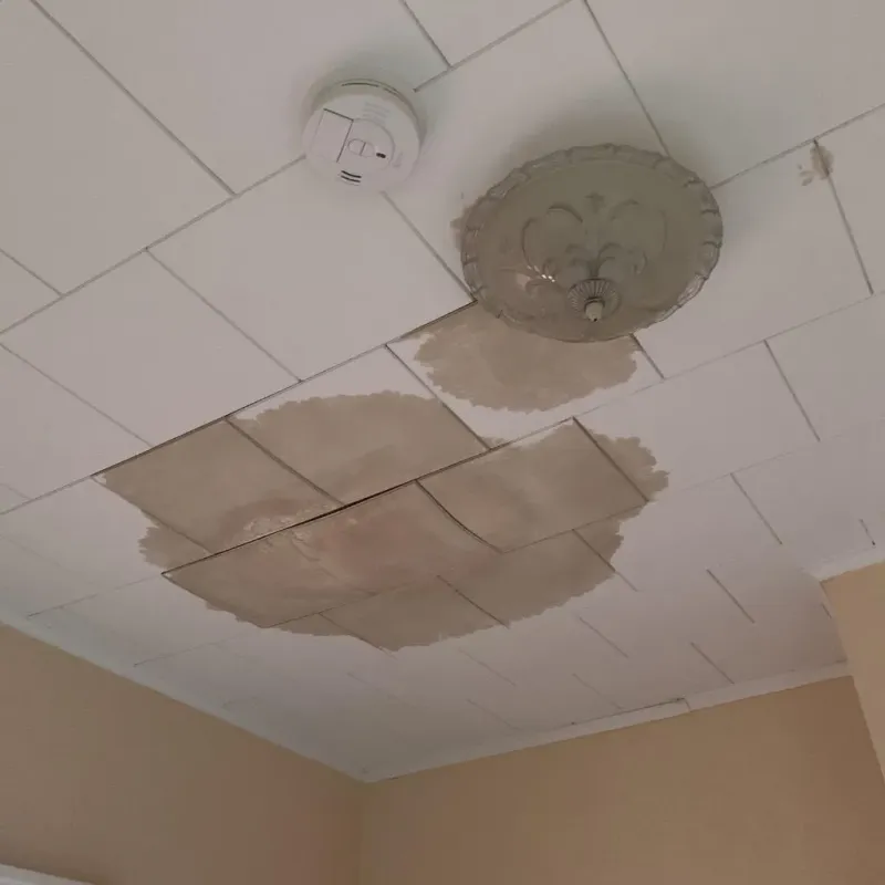 Ceiling Water Damage Repair in Jones County, IA