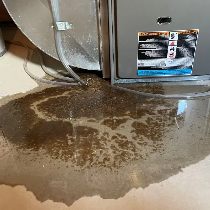 Pipe Burst and Leak Restoration in Jones County, IA