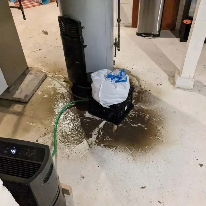 Sewage Backup Cleanup Service in Jones County, IA